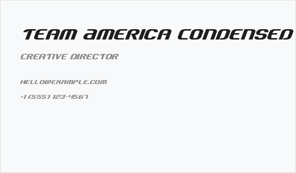 Team America Condensed Business Card