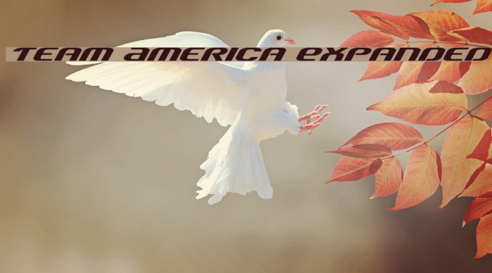 Team America Expanded Font examples