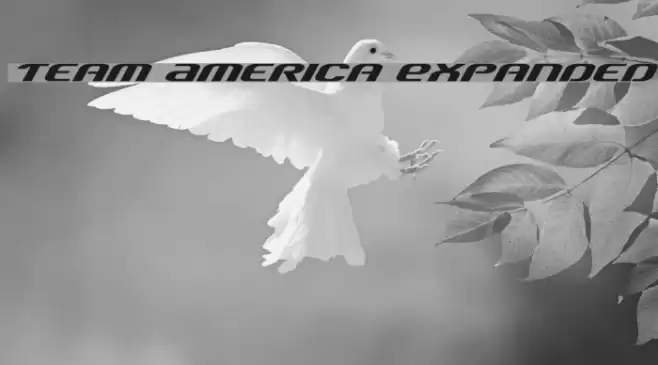 Team America Expanded Font examples