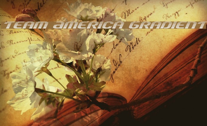 Team America Gradient Example 3