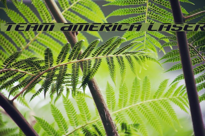 Team America Laser Example 2