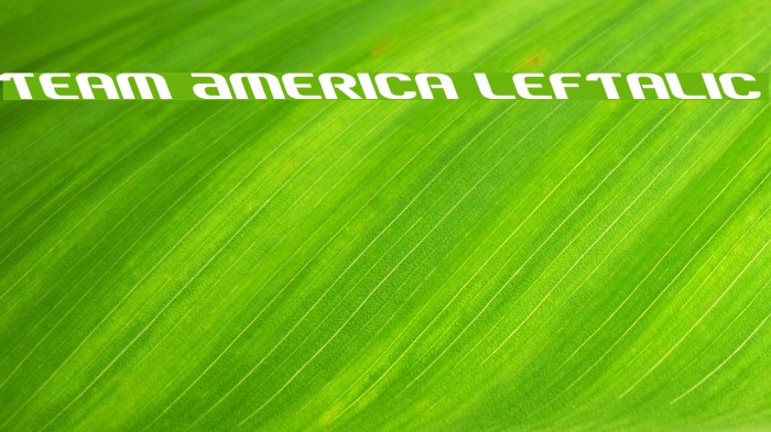 Team America Leftalic Font examples