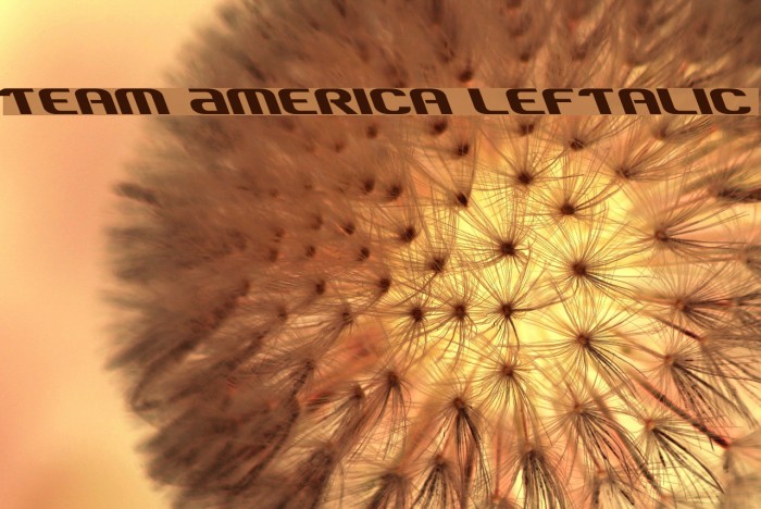 Team America Leftalic Font examples