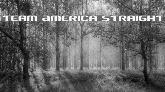 Team America Straight Font examples