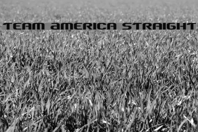 Team America Straight Font examples