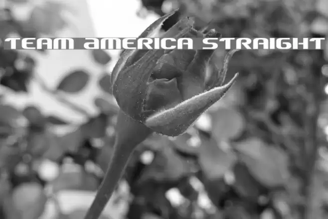 Team America Straight Font examples