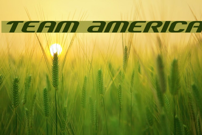 Team America Font examples