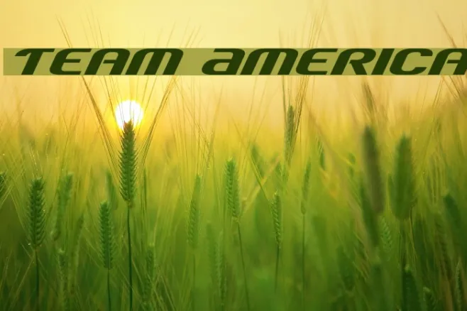 Team America Example 3