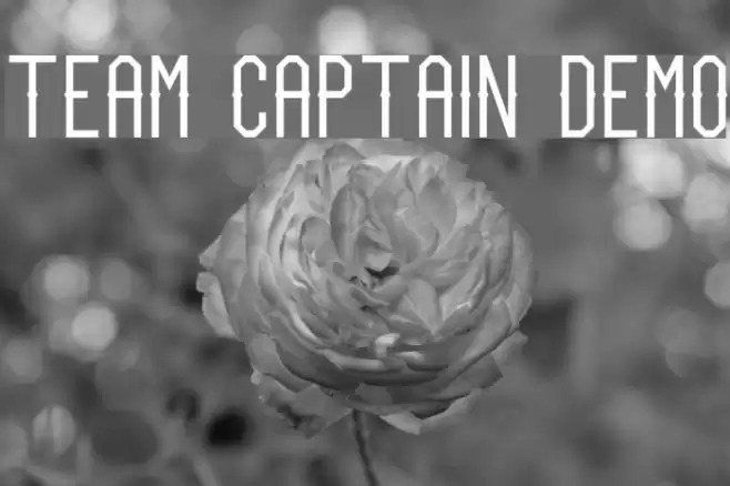 Team Captain Demo Font examples