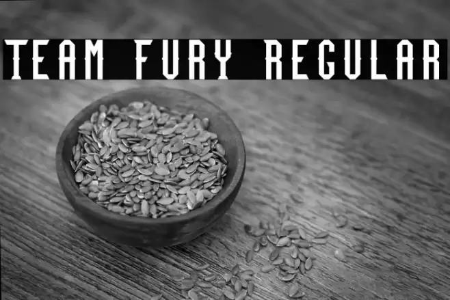 Team Fury Regular フォント examples