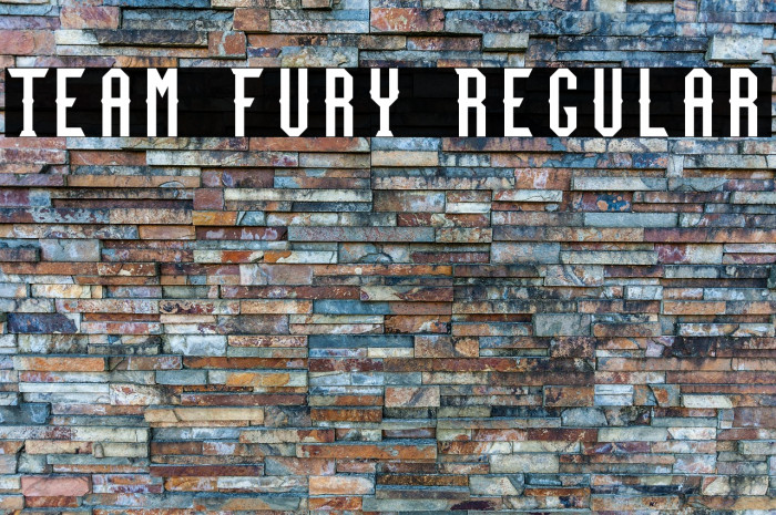 Team Fury Regular Example 2