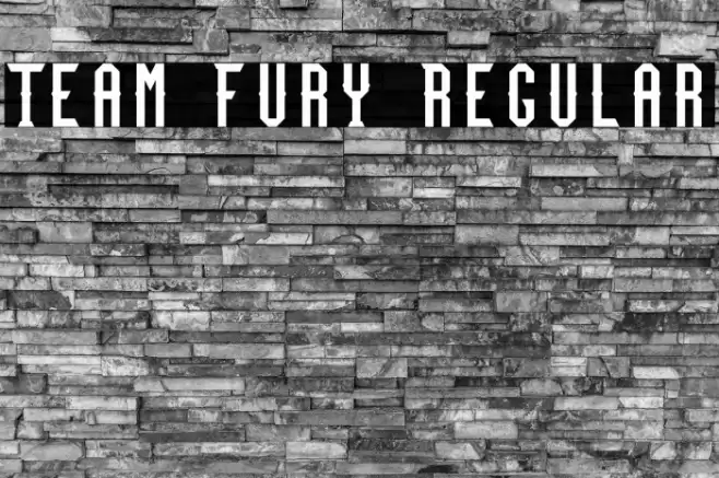Team Fury Regular フォント examples
