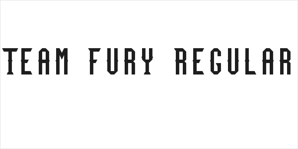 Team Fury Regular Logo