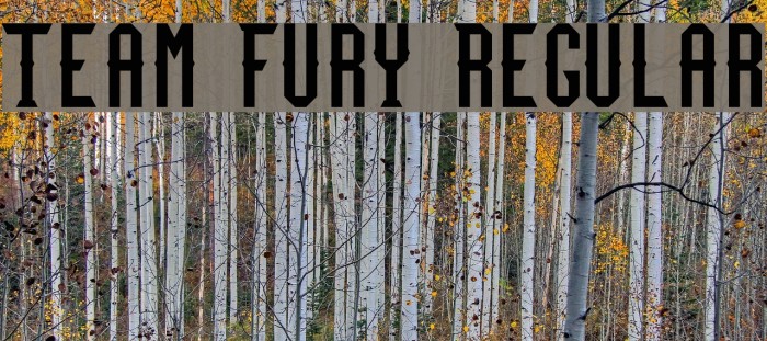 Team Fury Regular Font examples