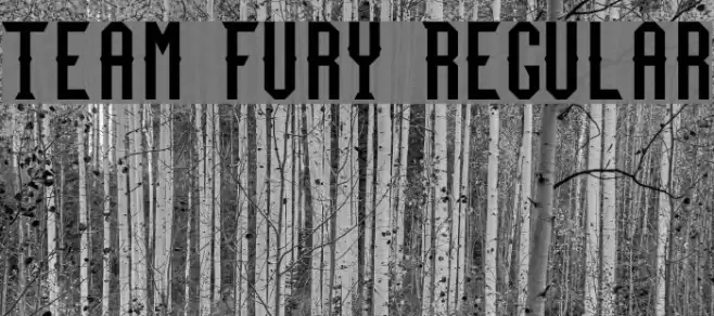 Team Fury Regular Font examples