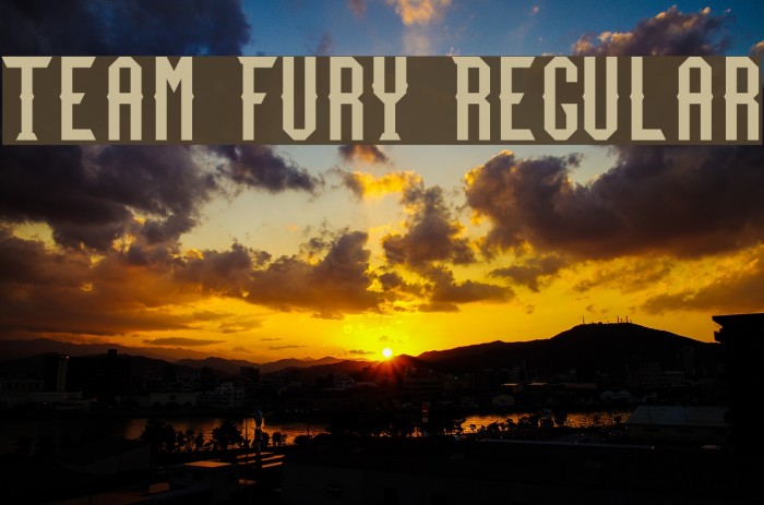 Team Fury Regular Font examples
