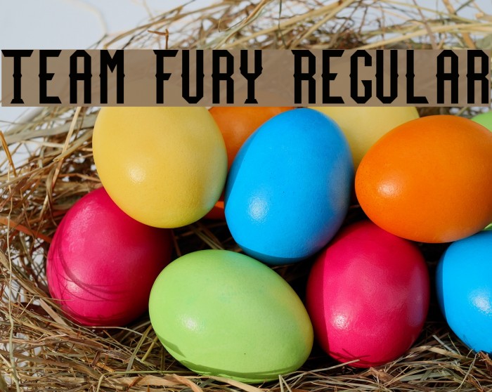 Team Fury Regular Font examples