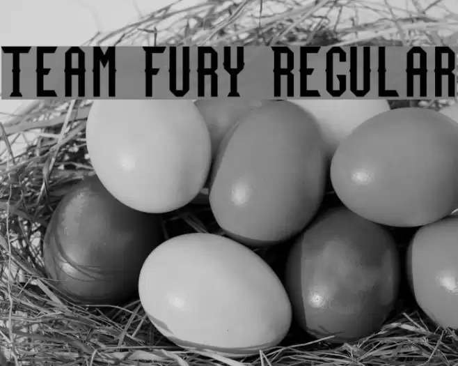 Team Fury Regular Font examples