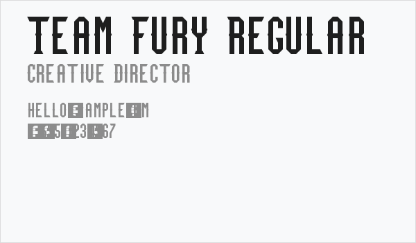 Team Fury Regular Business Card