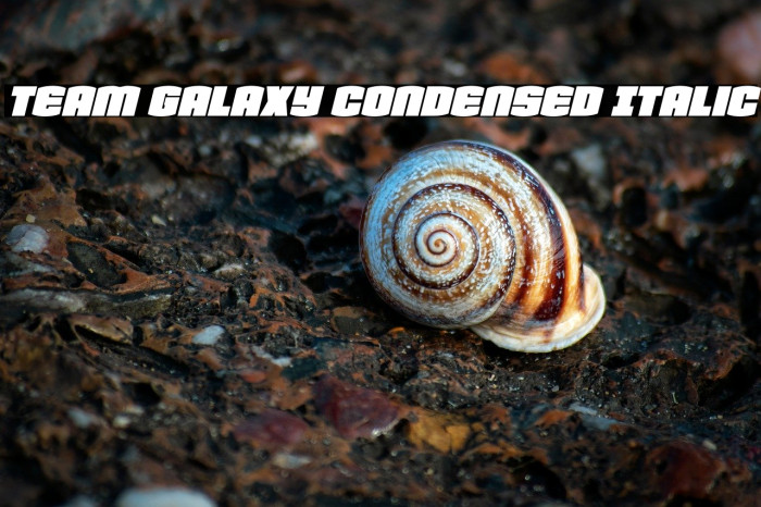 Team Galaxy Condensed Italic Example 3