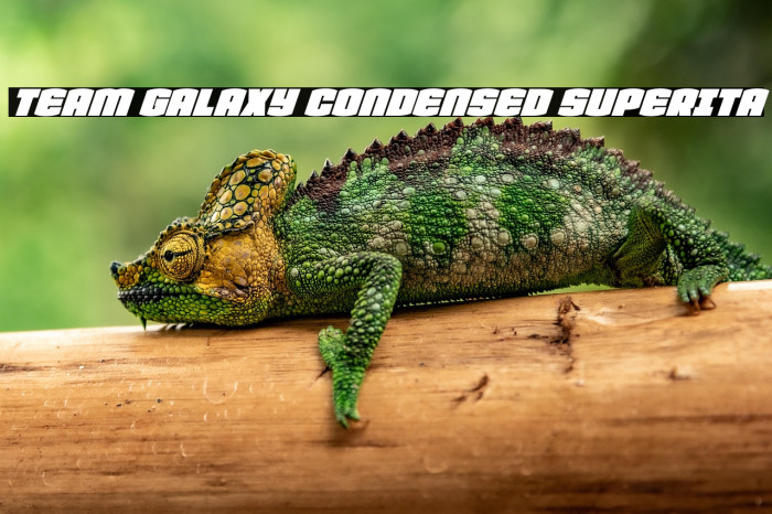 Team Galaxy Condensed SuperIta Example 3