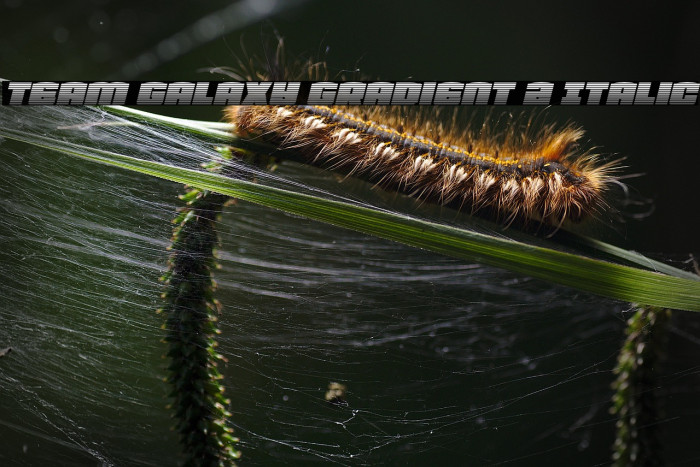 Team Galaxy Gradient 2 Italic Example 1