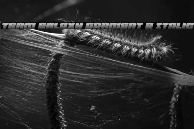Team Galaxy Gradient 2 Italic Font examples
