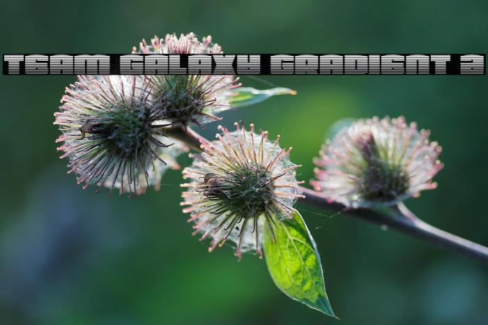 Team Galaxy Gradient 2 Example 1