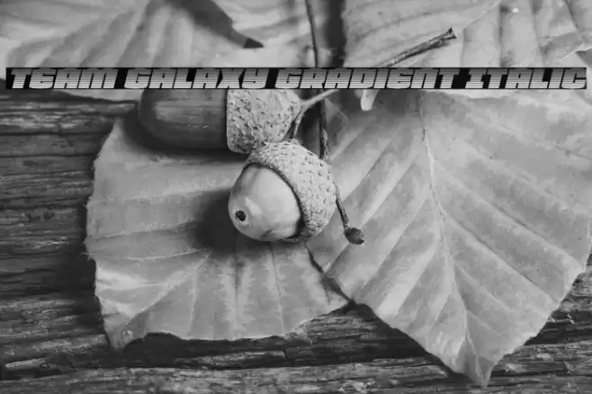 Team Galaxy Gradient Italic Font examples