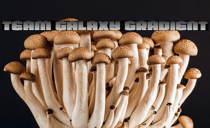 Team Galaxy Gradient Example 3