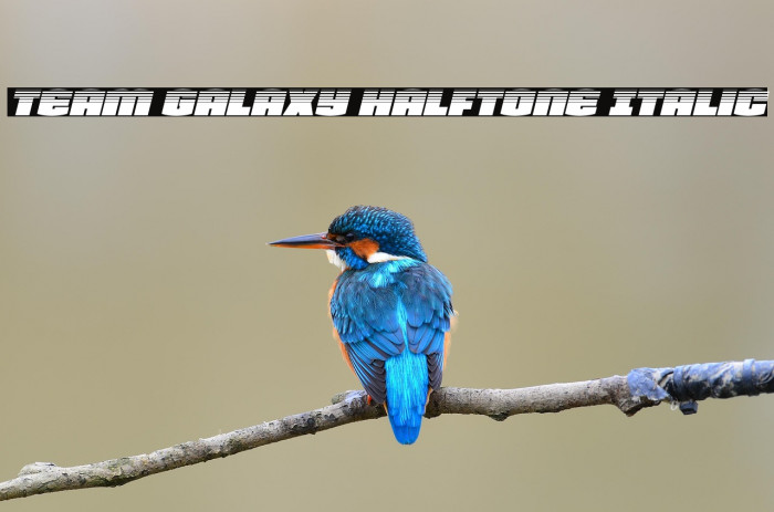 Team Galaxy Halftone Italic Example 3