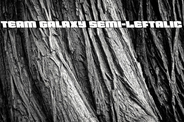 Team Galaxy Semi-Leftalic Example 3