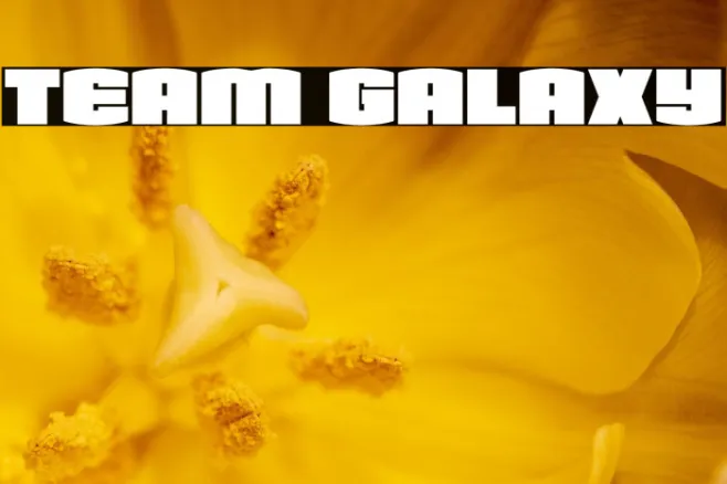 Team Galaxy Example 3