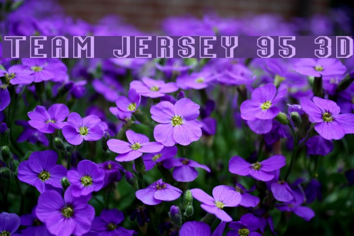Team Jersey 95 3D Example 3