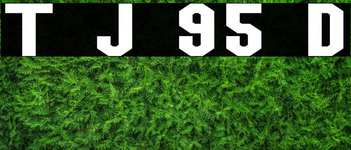 Team Jersey 95 Demo Font examples