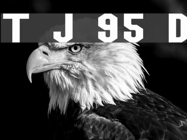 Team Jersey 95 Demo Font examples