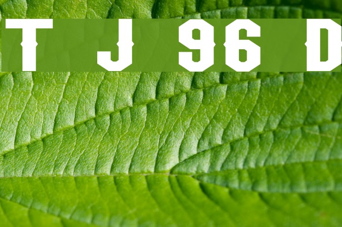 Team Jersey 96 Demo Fonte examples