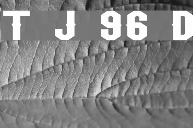 Team Jersey 96 Demo Font examples