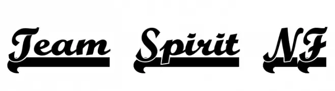 Team Spirit NF  لخطوط تنزيل