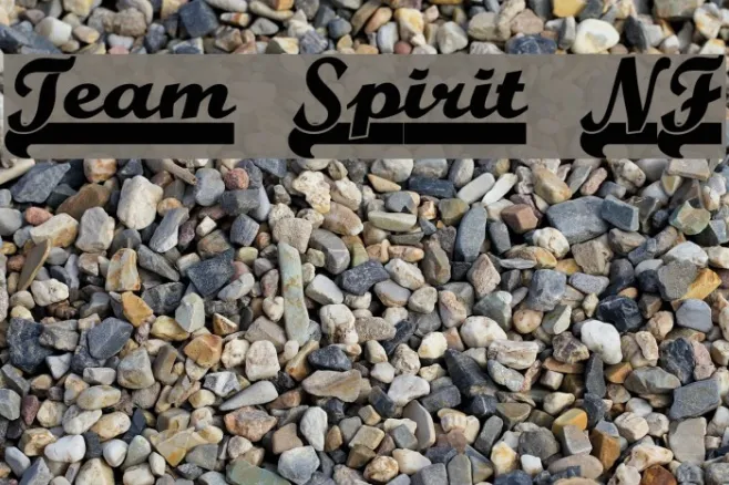 Team Spirit NF Example 2