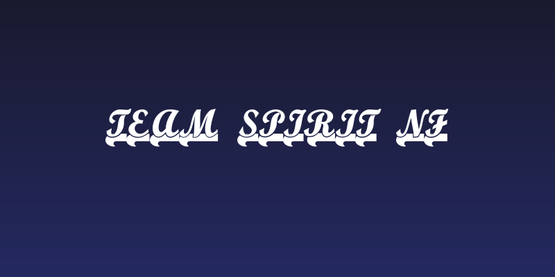 Team Spirit NF Social Header