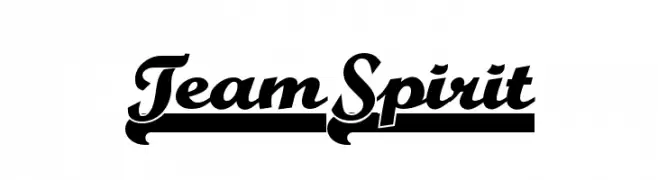 TeamSpirit  免费字体下载