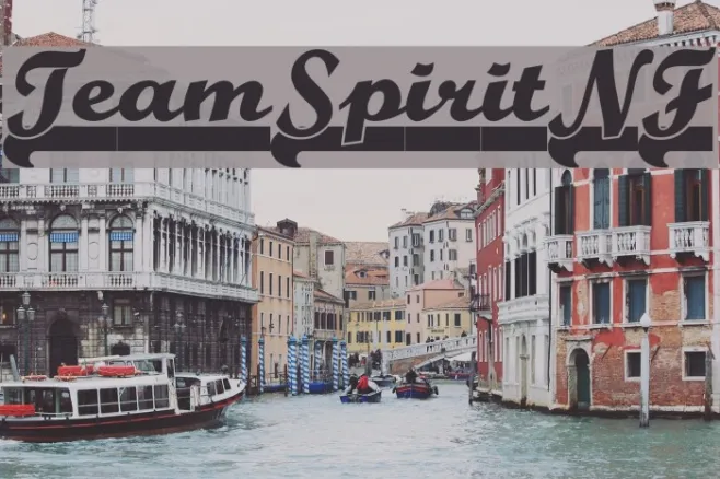 TeamSpiritNF Example 3