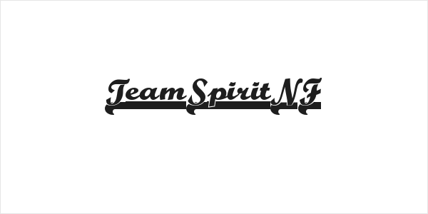 TeamSpiritNF Logo