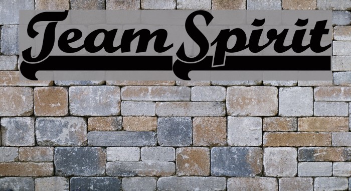 TeamSpirit Font examples