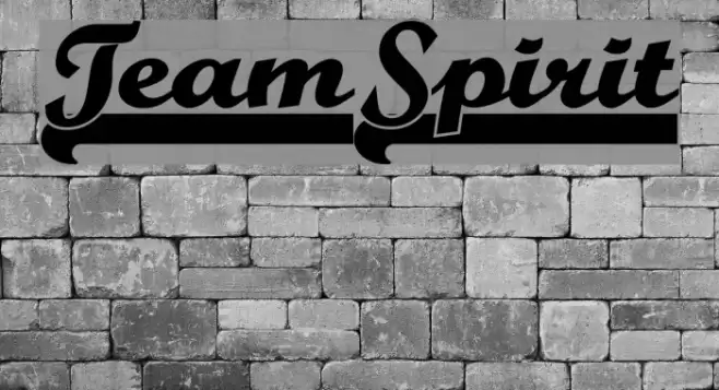 TeamSpirit フォント examples