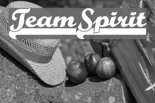TeamSpirit フォント examples