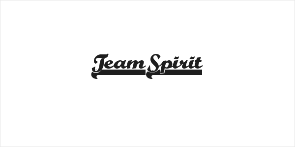 TeamSpirit Logo