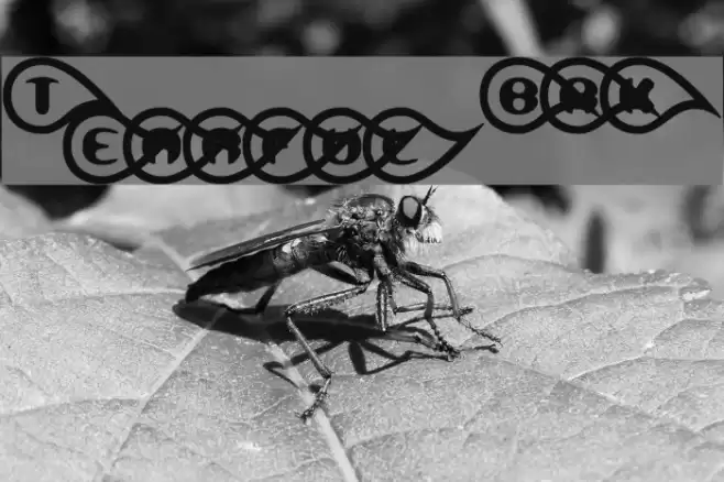 Tearful BRK Schriftart examples