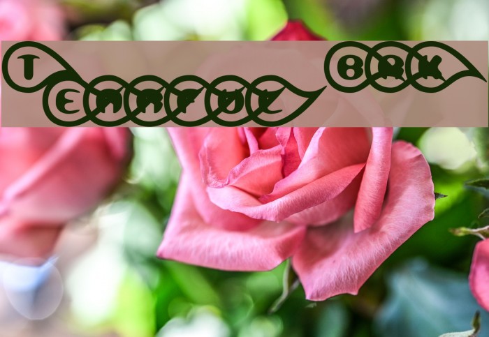 Tearful BRK Font examples